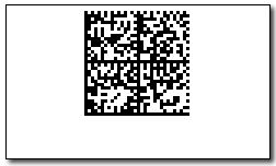 Barcode ActiveX - 2D Barcode Datamatrix by Wolf Software Screenshot